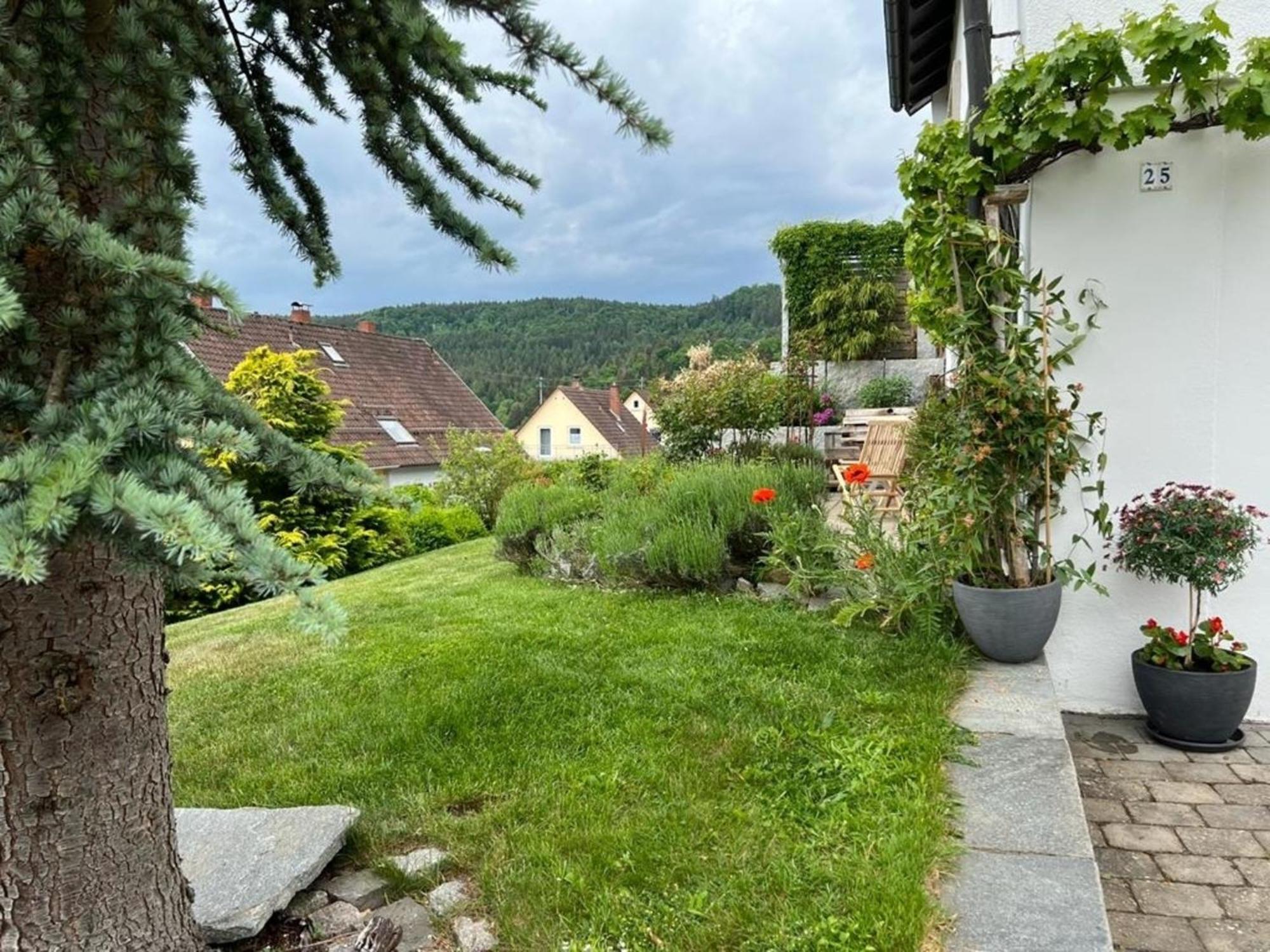 Ferienwohnung Jardin De Lavande 弗瑞迪根昂德唐 外观 照片