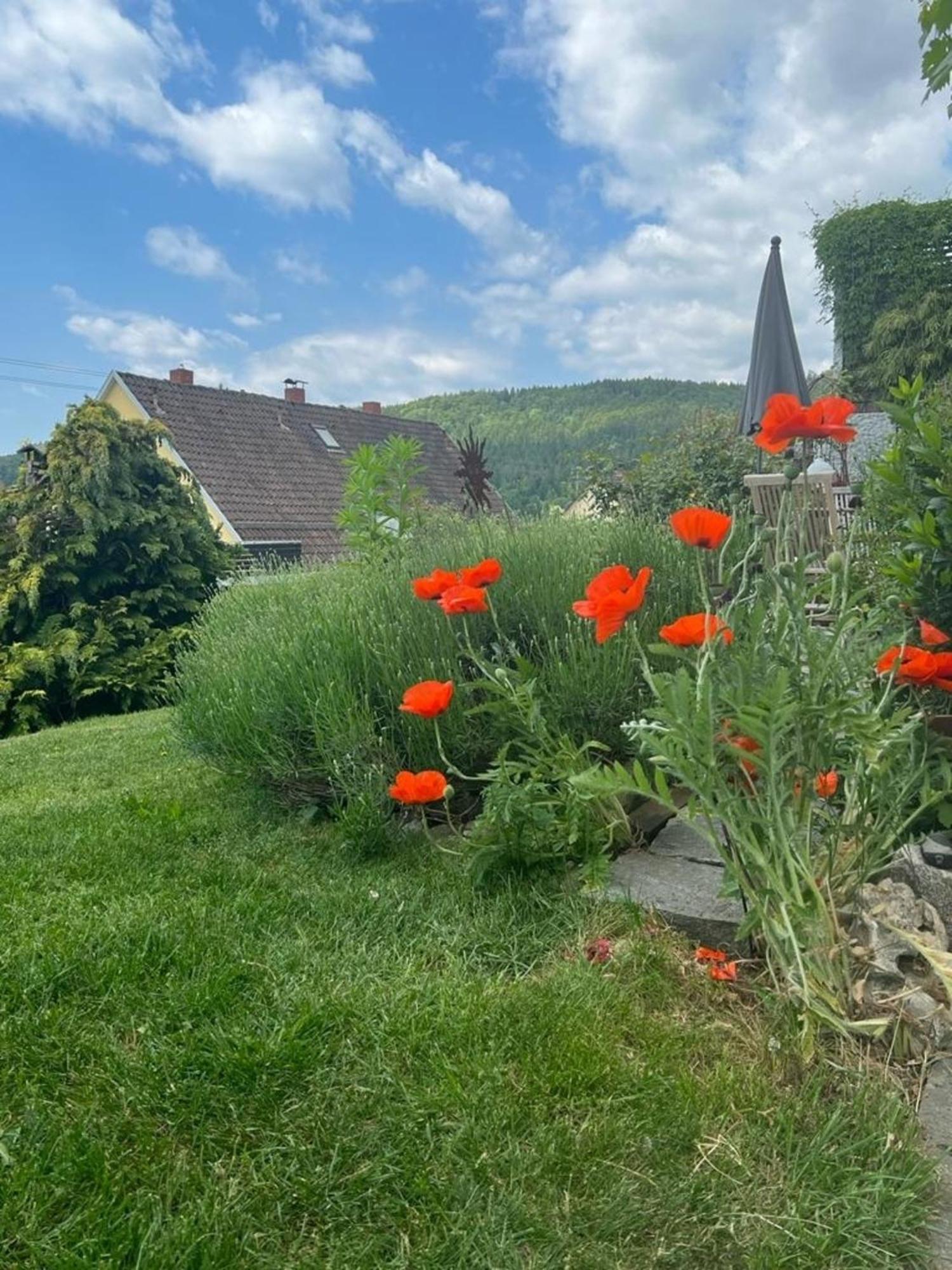 Ferienwohnung Jardin De Lavande 弗瑞迪根昂德唐 外观 照片