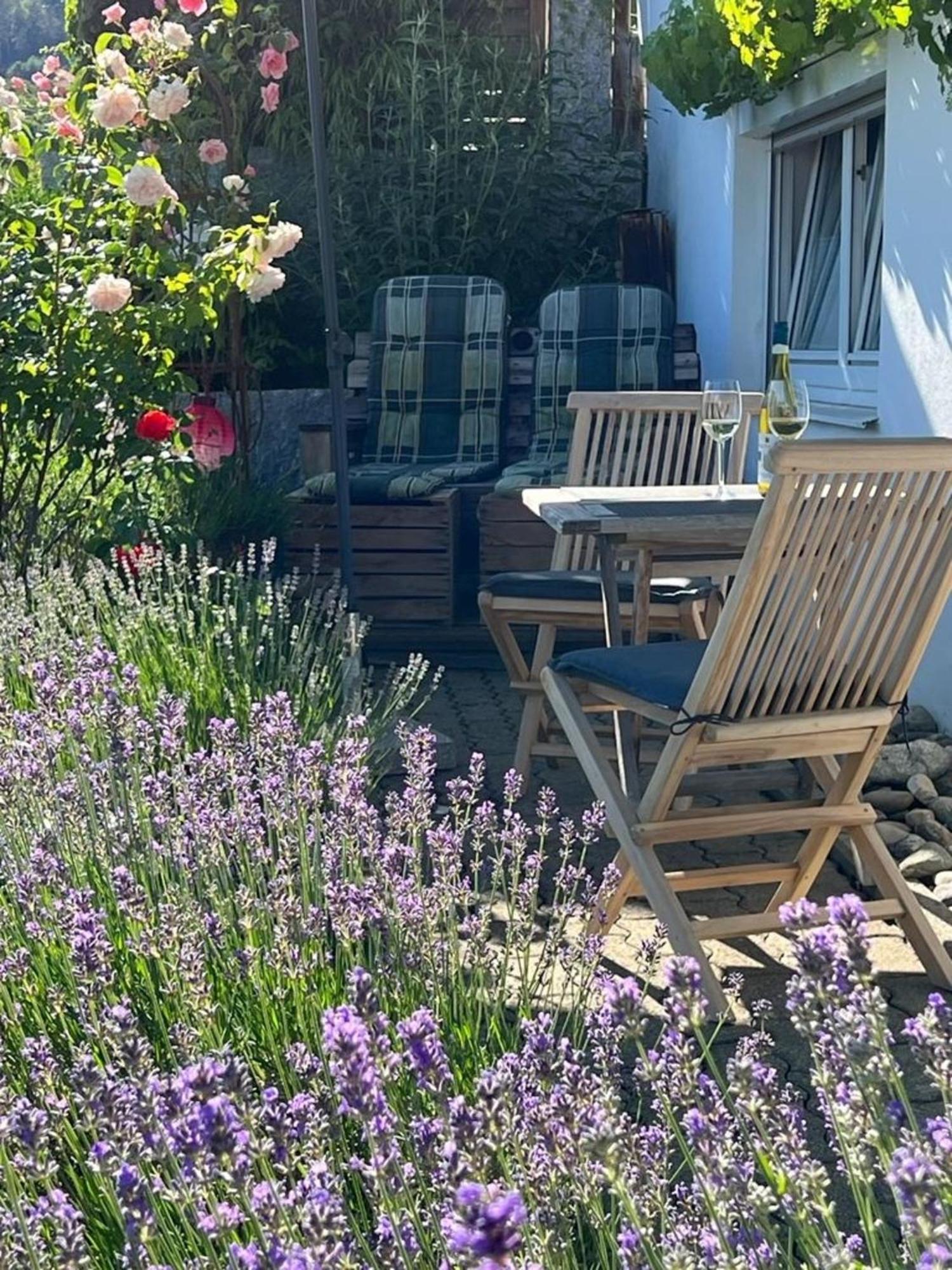 Ferienwohnung Jardin De Lavande 弗瑞迪根昂德唐 外观 照片
